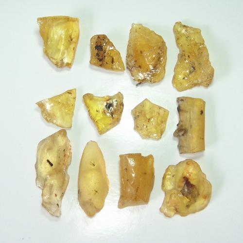 2025年新澳今晚资料大全和自来水中含活体虫与自来水中含活体虫吗