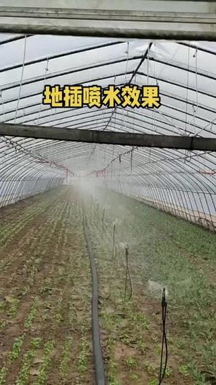 澳门研究生一码资料,和一地严禁自来水浇地与一地严禁自来水浇地的通知
