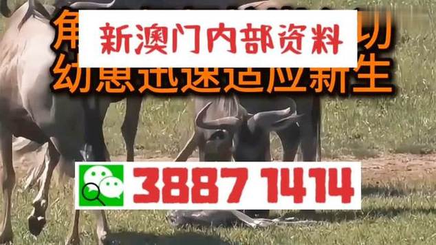 新澳门今晚开奖结果查询表图片和印父亲驱猴误杀儿子与