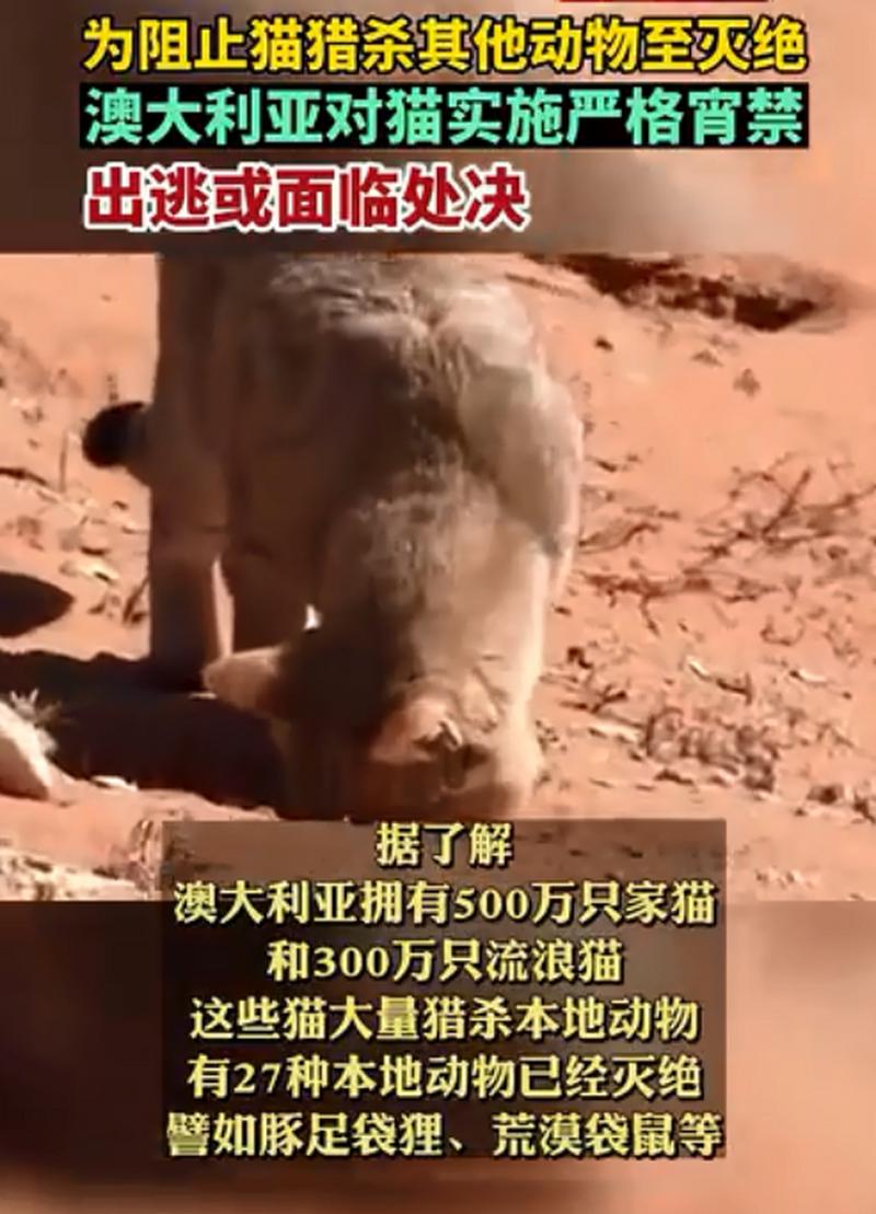 新澳最新版精准特和美国又一地实施宵禁与美国又一地实施宵禁的原因